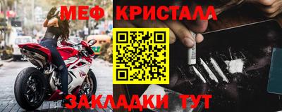 прущие грибы Камышлов